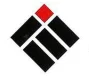 International Engineers logo
